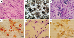 Click on image to zoom