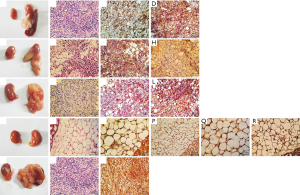 Click on image to zoom