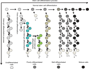 Click on image to zoom