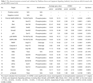 Table 2