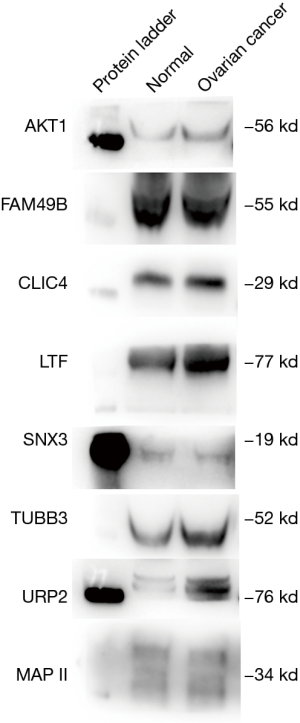 Click on image to zoom