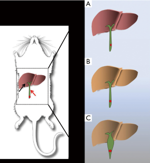 Click on image to zoom