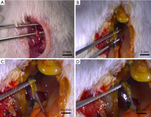 Click on image to zoom