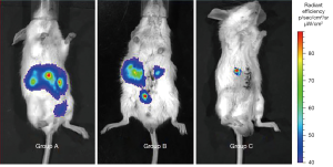 Click on image to zoom