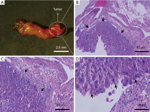 Click on image to zoom