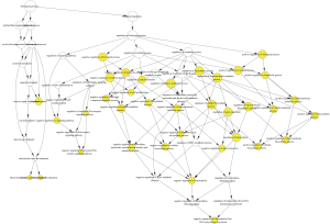 Click on image to zoom