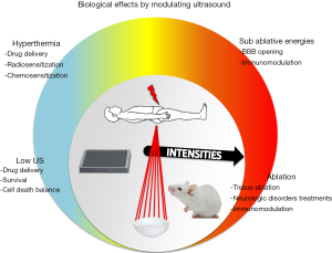 Click on image to zoom