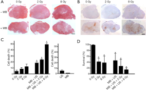 Click on image to zoom