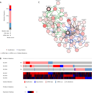 Click on image to zoom