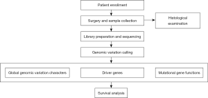 Click on image to zoom