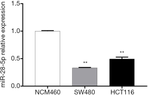 Click on image to zoom