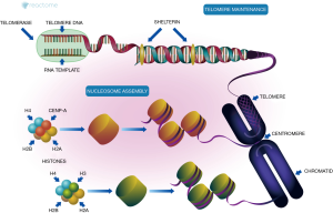 Click on image to zoom