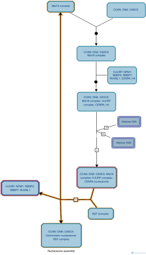 Click on image to zoom