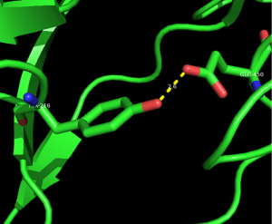 Click on image to zoom