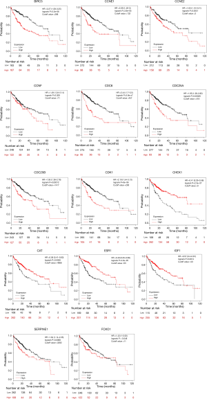 Click on image to zoom