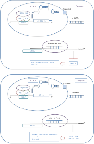 Click on image to zoom