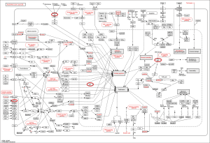 Click on image to zoom