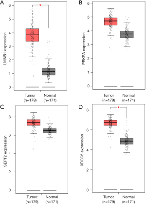 Click on image to zoom