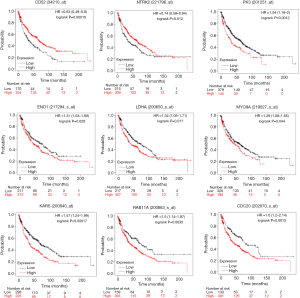 Click on image to zoom