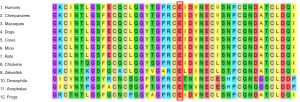 Click on image to zoom