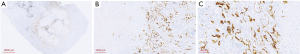 Click on image to zoom