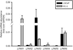 Click on image to zoom