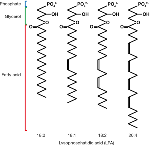 Click on image to zoom