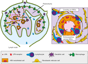 Click on image to zoom