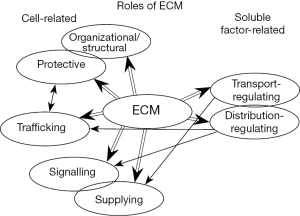 Click on image to zoom