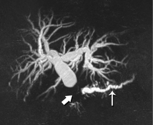 Click on image to zoom