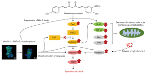 Click on image to zoom