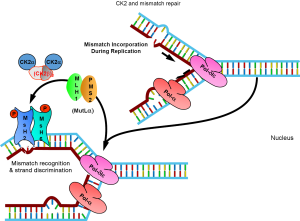 Click on image to zoom