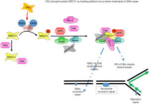 Click on image to zoom