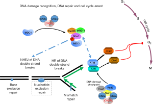 Click on image to zoom