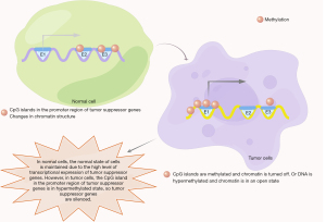 Click on image to zoom