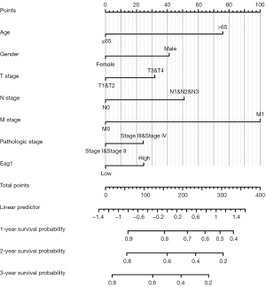 Click on image to zoom