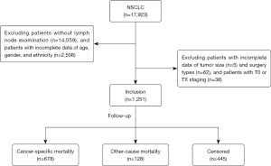 Click on image to zoom