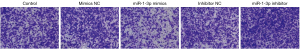 Click on image to zoom