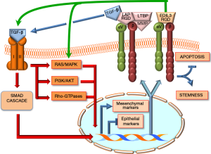 Click on image to zoom