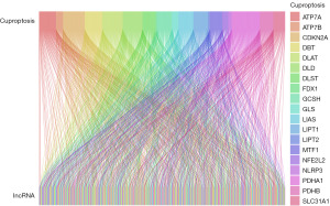 Click on image to zoom