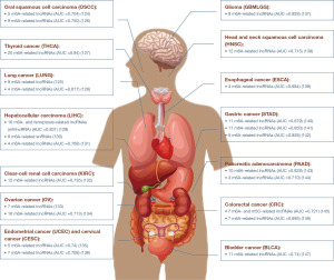 Click on image to zoom