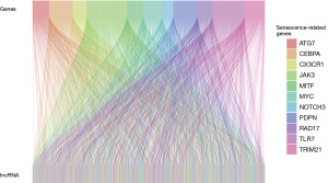Click on image to zoom
