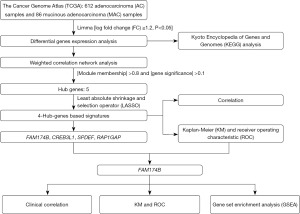 Click on image to zoom