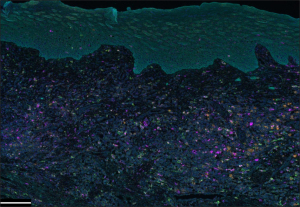 Click on image to zoom