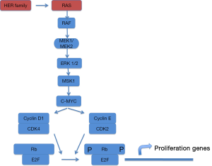 Click on image to zoom