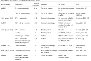 Click on image to zoom Table 1