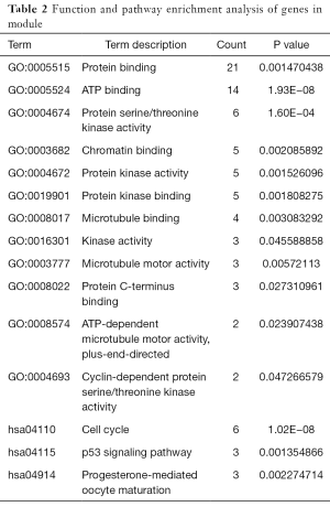Click on image to zoom Table 2