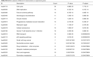 Table S4