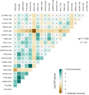 Click on image to zoom