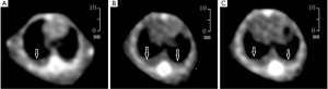 Click on image to zoom Figure 2